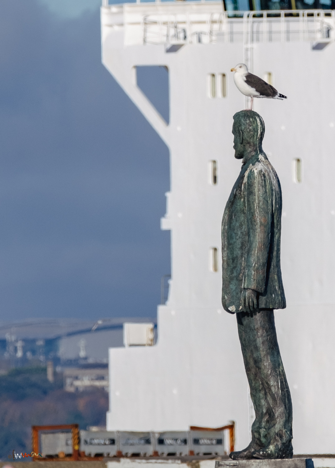 Roger Casement Statue by sculptor Mark Richards FRSS, placed on the Dún Laoghaire foreshore in 2021. The ship sailed, the gull took to the air. The statue stands tall, draped with bird lime. (Sir) Roger himself was hanged and buried in a lime pit.