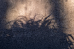 SR000173-HDR_wp