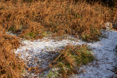 SR000091-HDR_wp