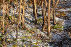 SR000100-HDR_wp