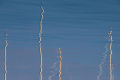 SR028364-2