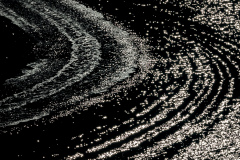 SR029142_wp