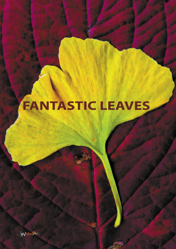 Fantastic Leaves chapbook