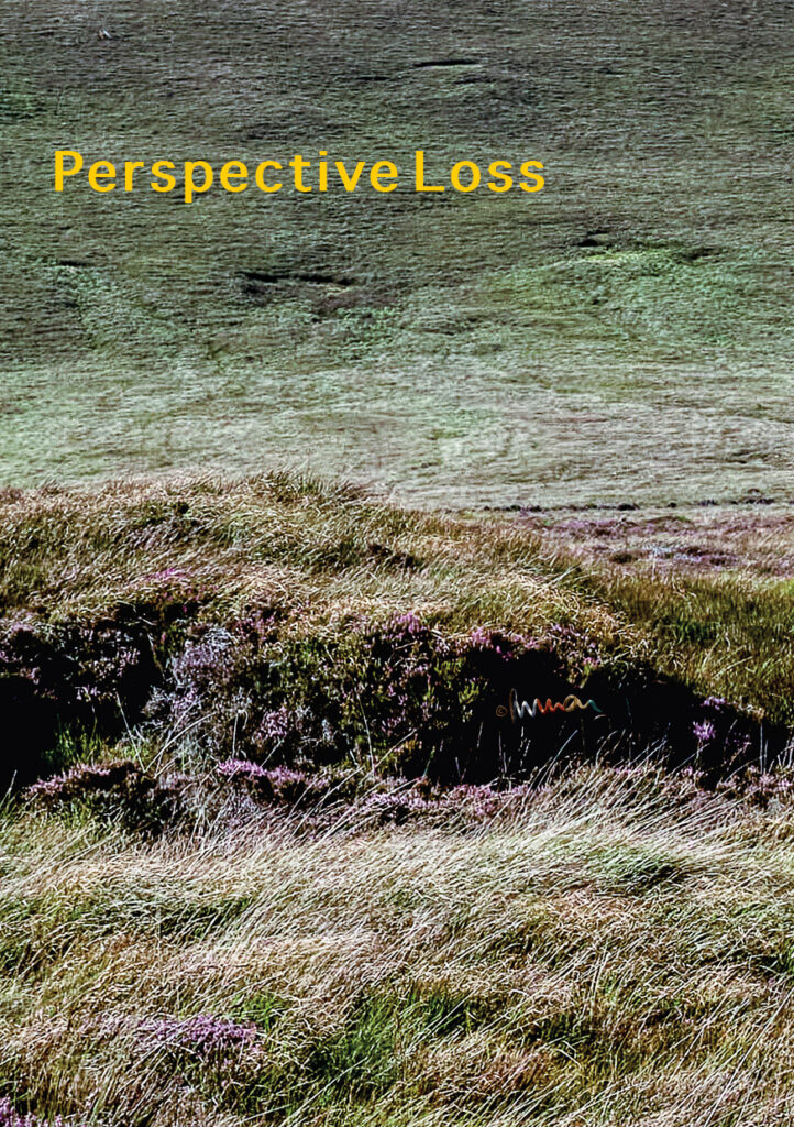 Cover Perspective Loss