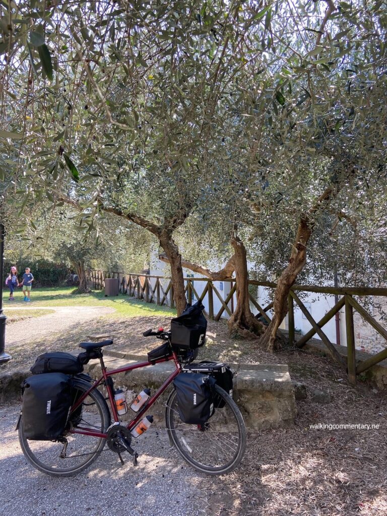 Day 25: Pilgrimage to Siena - bike resting under a tree
